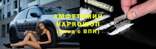 сатива Алзамай