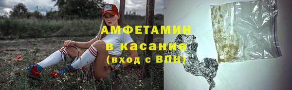 сатива Алзамай