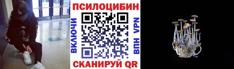 блэк спрут зеркало  Берёзовка  Псилоцибиновые грибы мухоморы  даркнет сайт 